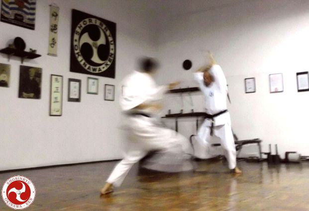 Karate vs Bokken-jutsu