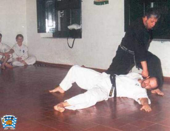self-defense, 1995