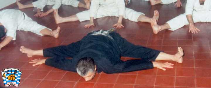 flexibility, 1995