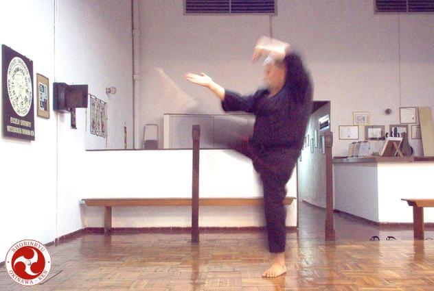 Mae-geri