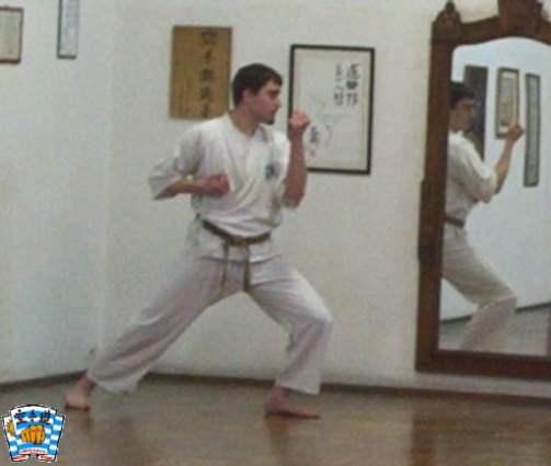 chudan uchi ude uke