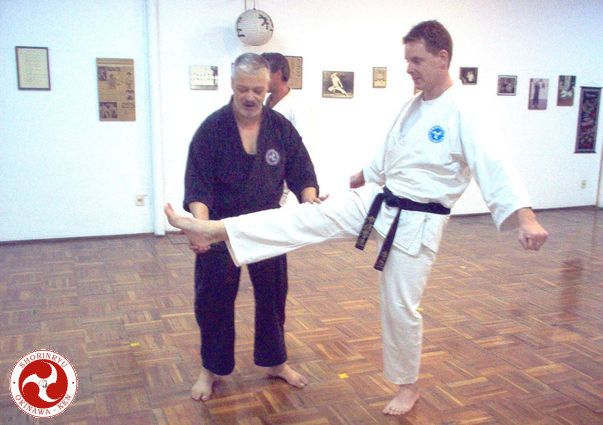 Mae-geri