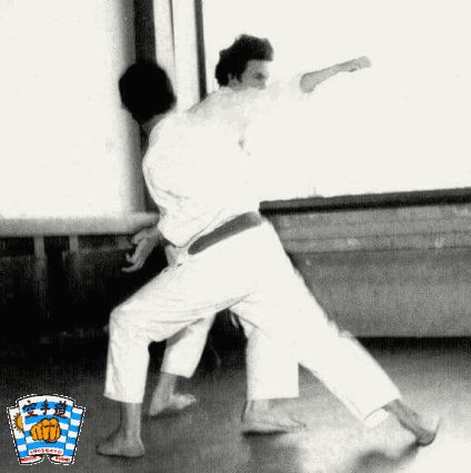 Sensei J. E. Castro
