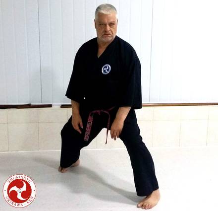 Fudo no kamae