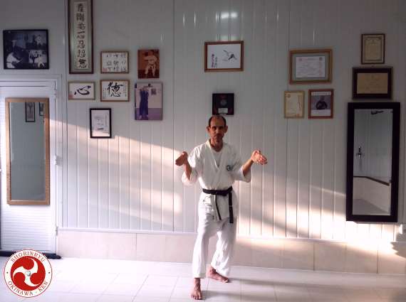 Hakutsuru no kamae (neko-ashi)