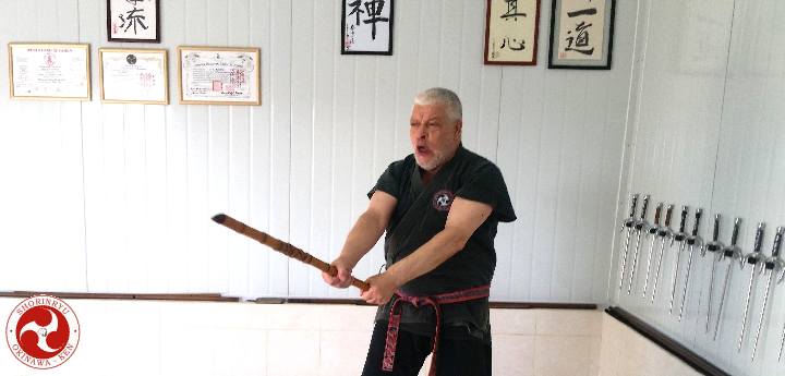 Han-jo-jutsu