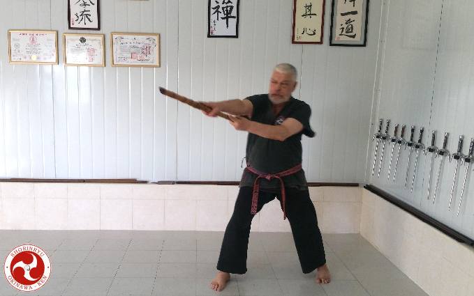 Han-jo-jutsu