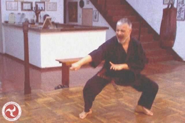 Ippon-ken yoko-zuki