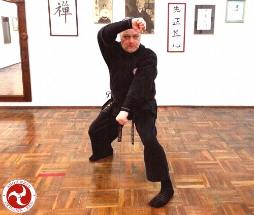 J. E. Castro, Okinawa-ken Ryu no Soke