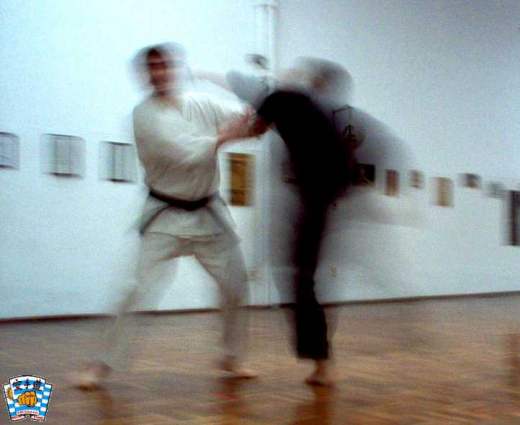 Jiyu-kumite