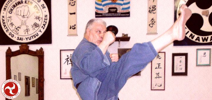 Josokutei mae-geri