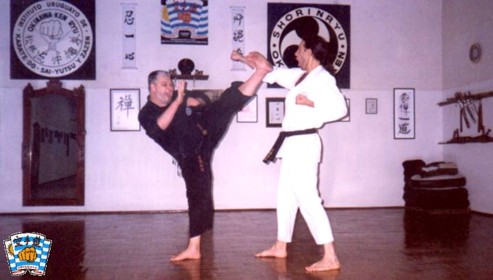 Yoko-geri