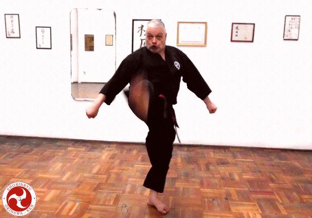 Mae-geri