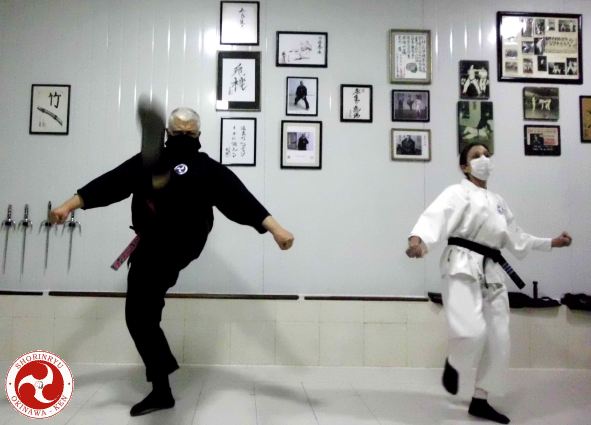 Mae-geri