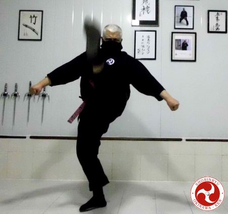 Mae-geri