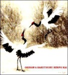 Okinawa Hakutsuru Kenpo Association