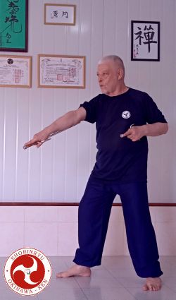 OKR Sai no kata Shodan