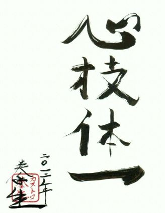 Shin gi tai ichi