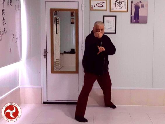 Shishi no waza