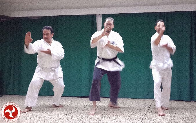 Shuto uke
