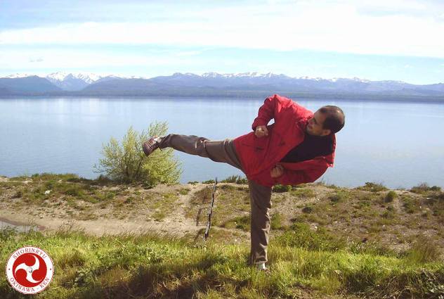 Ushiro-geri