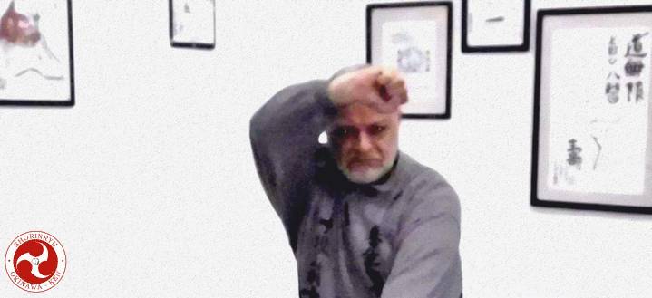 Tate no kamae