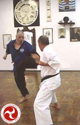 Ura hangetsu-geri