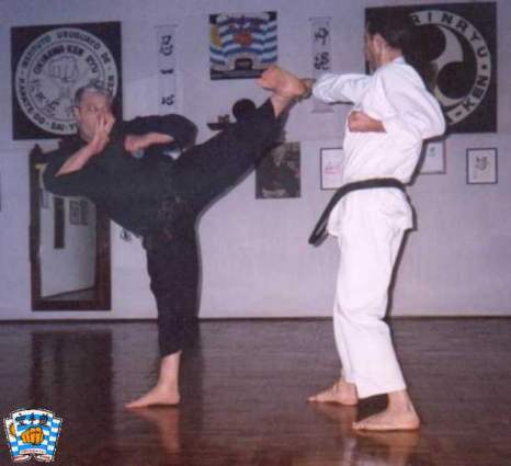 yoko-geri