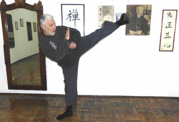 Castro SOKE - Yoko-geri