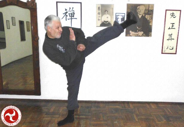 Yoko-geri