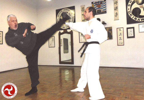 Yoko-geri
